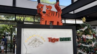 【2025最新】タイガーパークパタヤお土産から写真撮影のコツまで！予約必須の人気施設